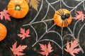 Halloween, pumpkin, maple red leaves, spider web drawn by chalk. Top view,flat lay.