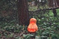 Halloween pumpkin minion in the woods on the grass near the tree