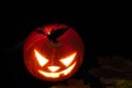 Halloween Pumpkin In A Mystic Forest At Night Royalty Free Stock Photo