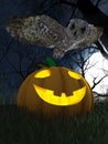 Halloween pumpkin and owl in night forest