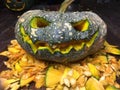 Halloween is the pumpkin. Halloween pumpkins decorated with pumpkin seeds placed on a wooden table.