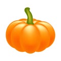 Halloween pumpkin realistic vector illustration on white background. Image created with gradient mesh.