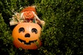 Halloween Pumpkin and Scarecrow Royalty Free Stock Photo