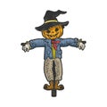 halloween pumpkin scarecrow sketch vector Royalty Free Stock Photo