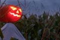 halloween pumpkin scarecrow in a wide corn field on a scary dark night Royalty Free Stock Photo