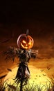 Halloween pumpkin scarecrow on a wide field with the moon on a scary night Royalty Free Stock Photo