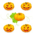 Halloween Pumpkin Set Royalty Free Stock Photo