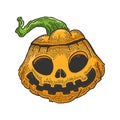 Halloween pumpkin sketch engraving vector