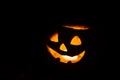 Halloween pumpkin smile and scrary eyes in darkness Royalty Free Stock Photo