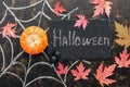 Halloween, pumpkin, spider, red maple leaves, spider web drawn in chalk on a dark rustic background. Signboard with with text-Hall Royalty Free Stock Photo