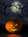 Halloween pumpkin in a spooky forest at night Royalty Free Stock Photo