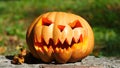 Halloween. Pumpkin standing in the garden. Falling leaves.