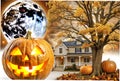 Halloween pumpkin tree moon house background white Royalty Free Stock Photo