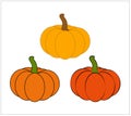 Halloween pumpkin vector illustration set isolated on white background. Royalty Free Stock Photo