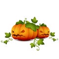 Halloween pumpkin vector2-01 Royalty Free Stock Photo