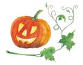 Halloween pumpkin watercolor illustration