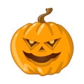 Halloween pumpkin on white background. Vector illustration Royalty Free Stock Photo