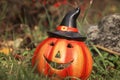 Halloween pumpkin in wild forest. Fall mood. Autumn magic scene