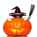 Halloween pumpkin witch dog Royalty Free Stock Photo