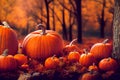 Halloween pumpkins in autumn forest. Fall season landscape with bare trees, maple leaves Royalty Free Stock Photo