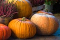 Halloween pumpkins, autumn harvest