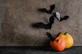 Halloween pumpkins and bats on a dark background Royalty Free Stock Photo