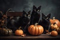 Halloween pumpkins and black cats art. Thanksgiving celebration Royalty Free Stock Photo