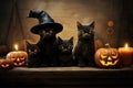 Halloween pumpkins and black cats art. Thanksgiving celebration Royalty Free Stock Photo