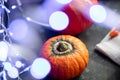 Halloween Pumpkins of bright orange color lie on a dark background, next to red berries. Royalty Free Stock Photo