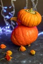 Halloween Pumpkins of bright orange color lie on a dark background, next to red berries. Royalty Free Stock Photo