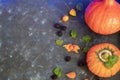 Halloween Pumpkins of bright orange color lie on a dark background, next to red berries. Royalty Free Stock Photo