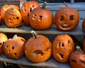 Carved pumpkins on display on a sunny fall afternoon