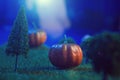 Halloween Pumpkins in a dark forest in the moonlight Halloween background. Fairy tale. Macro. Artificial magic dreamy