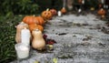 Halloween pumpkins and decorations outside a house