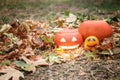 Halloween pumpkins with dry leaves in autumn park Royalty Free Stock Photo