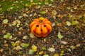 Halloween pumpkins in Finland in october