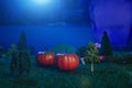 Halloween Pumpkins in a forest in a clearing in the moonlight Halloween background. Fairy tale. Macro. Artificial magic dreamy