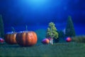 Halloween Pumpkins in a forest in a clearing in the moonlight Halloween background. Fairy tale. Macro. Artificial magic dreamy