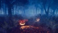 Halloween pumpkins on forest trail at rainy night