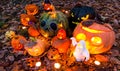 Halloween pumpkins in the garden, outdoor scene