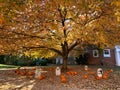 Halloween Pumpkins and Gravestones at the Festival in the Neighborhood