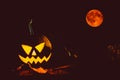 Halloween pumpkins head jack lantern Royalty Free Stock Photo