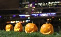 Halloween Pumpkins head. Orange pumpkin with a smile and eyes on night city and lights background Royalty Free Stock Photo