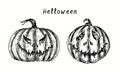 Halloween Pumpkins Jack-o-lantern Collection. Ink Black And White Drawing