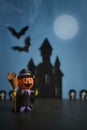Halloween pumpkins jack-o-lantern on dark blue background. Halloween pumpkin background. Royalty Free Stock Photo