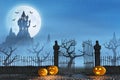 Halloween pumpkins next to a gate of a spooky castle