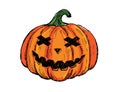 Halloween pumpkins set. Hand drawn illustration. Royalty Free Stock Photo