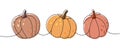 Halloween pumpkins. Set of pumpkins one line colored continuous drawing. Autumn halloween vegetables continuous one line