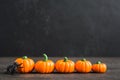 Halloween pumpkins with spider with black background Royalty Free Stock Photo