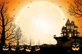 Halloween pumpkins, spooky trees and haunted house with cats and moonlight on orange background. Royalty Free Stock Photo